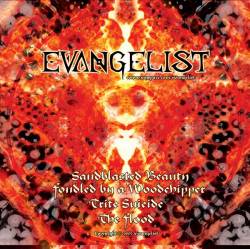 Evangelist (USA) : Destroying Optimism